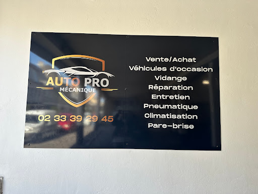 AUTO PRO MECANQIUE - Thumbnail