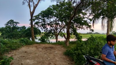 Photos of Kumli vita কুমলী ভিটা