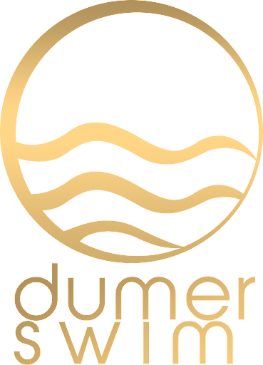 Dumer Swin - Visual