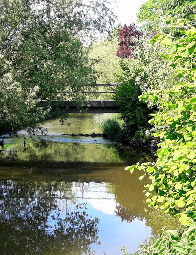 Engelgarten - Visual