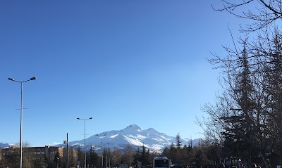 University Of Erciyes Faculty Of Medicine