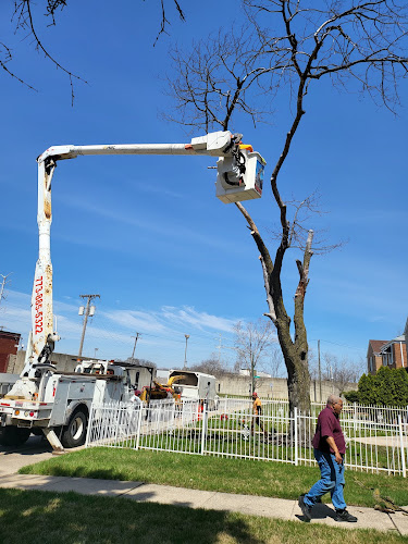Tree Cutters Experts Inc
