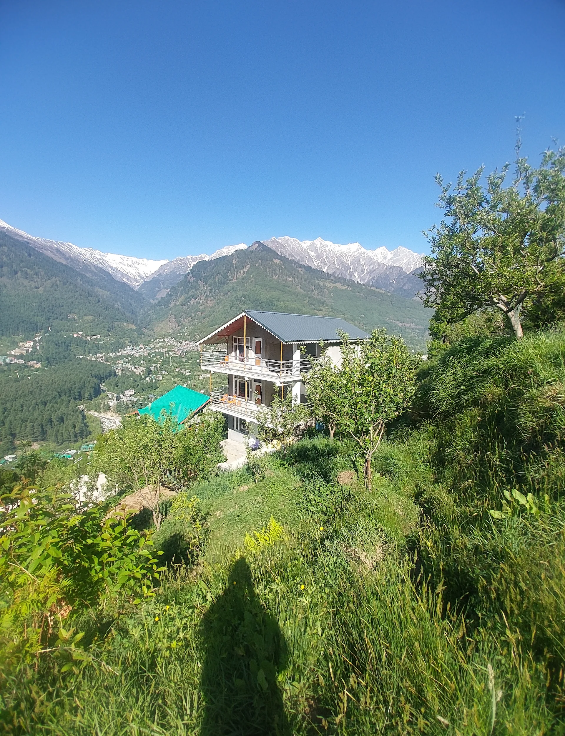 Himalayan Woodpecker - (A Truly Himalayan Stay)