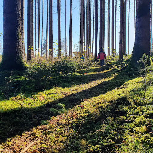 Waldkindergarten Eiselfing - Visual