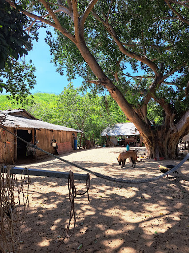 Nico's Ranch