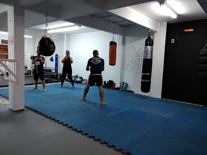Scorpions Fight Club Colatina