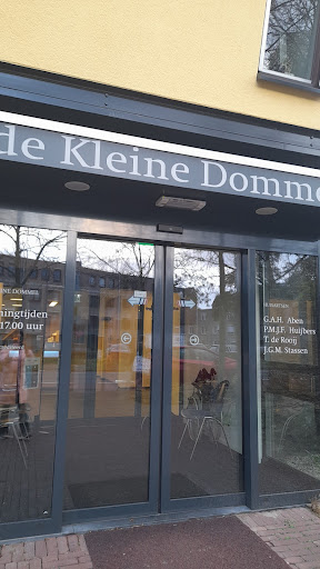 Huisartsenpraktijk de Kleine Dommel - Thumbnail