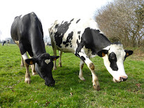 Ferme de la Chouquerie à Saint-Sauveur-Villages