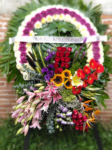 Hersan Florería - Visual