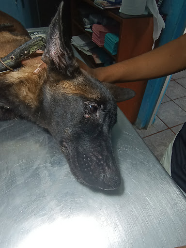 Veterinaria Costa Azul