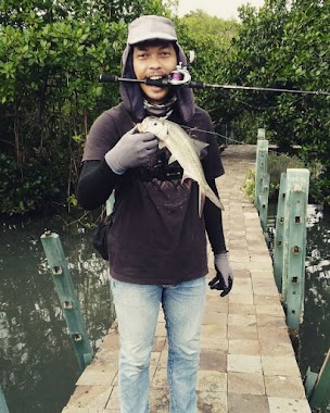 Casting Tarpon, Author: johnter