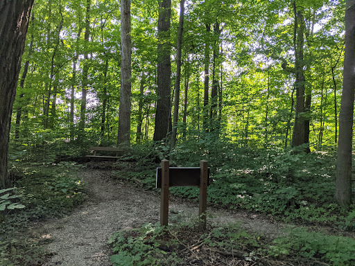 Baker Woods - Visual
