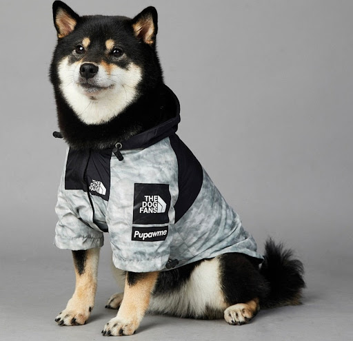 The Woof Boutique - Thumbnail