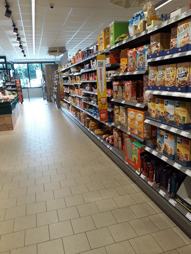 diska Görlitz - Visual
