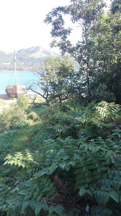 Photos of "Del'fin"
