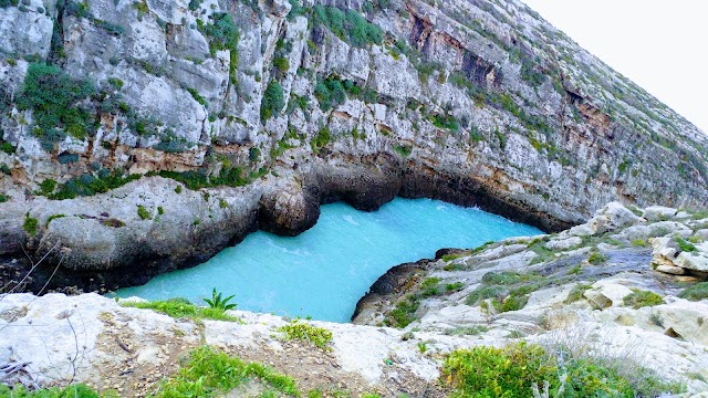 Wied il-Għasri