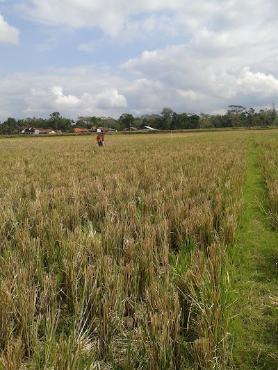 Photos of Glempang