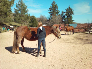 Photo n°5 de La ferme équestre de Tréphy - éthologie & équitation western à Chaumeil (Éleveur de chevaux)