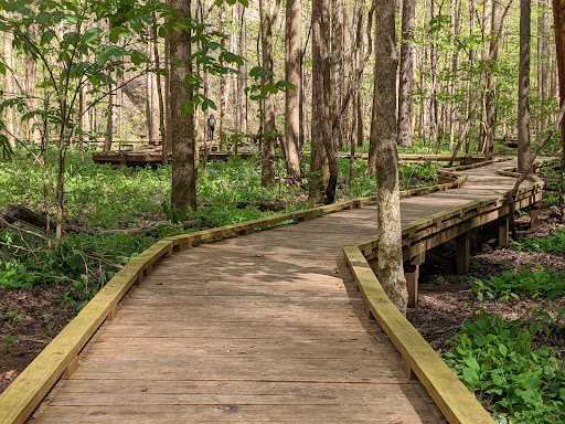 Pocket Loop Trailhead - Visual