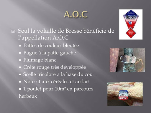 Photo 1 - BresseHalal