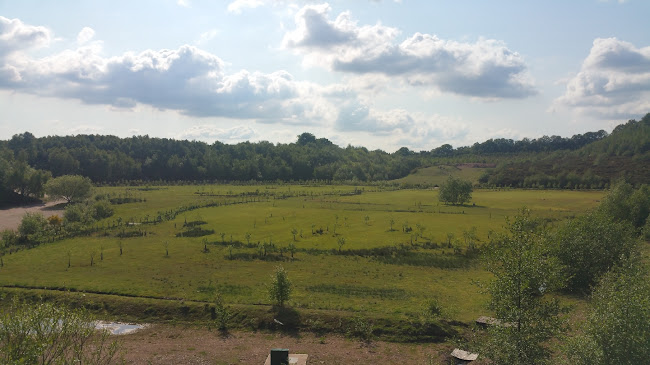 Huntley Wood