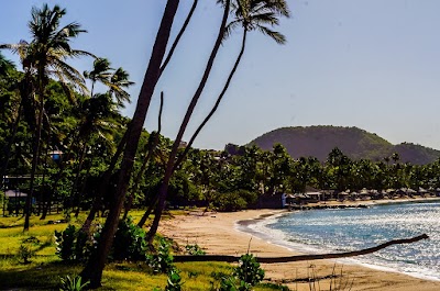 Photos of Morris Bay