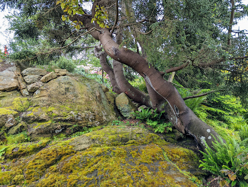 Abkhazi Garden - Thumbnail