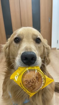 ひごペットフレンドリー 東淀川店