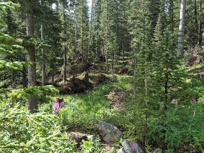 Wheeler Peak Trail Sign