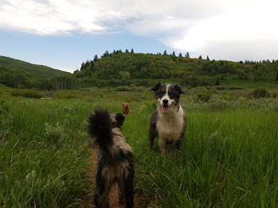 Maples Campground