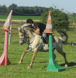 Photo n°4 de Centre équestre Crinière dans le vent à La Chapelle-Moutils (Club d'équitation)