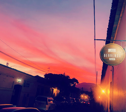 Berrendo Café - Visual