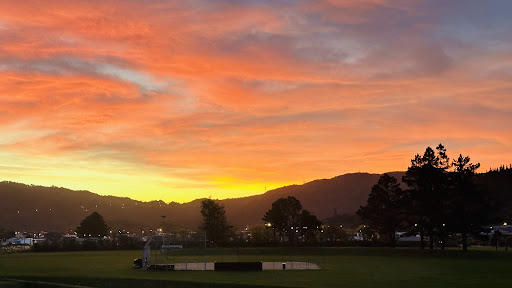 Hugh Sinclair Park Gallery - New Zealand