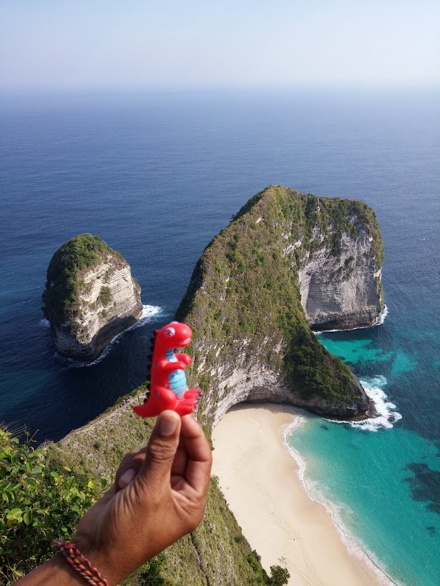 T-Rex Bay Nusa Penida