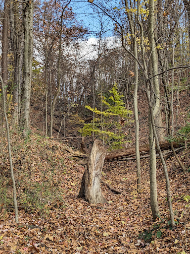 Hilltop Shelter - Cascade Valley Metro Park - Thumbnail