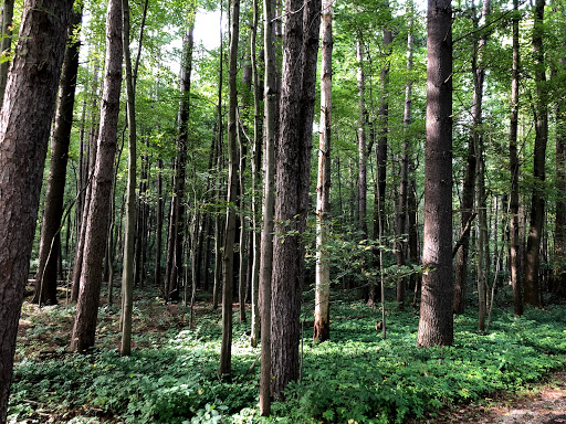 Oak Openings Metropark Lodge - Thumbnail