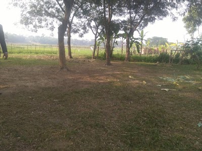 Photos of Binishuta Village, Flag Bangladesh