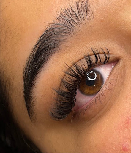 lashed by BR - Visual