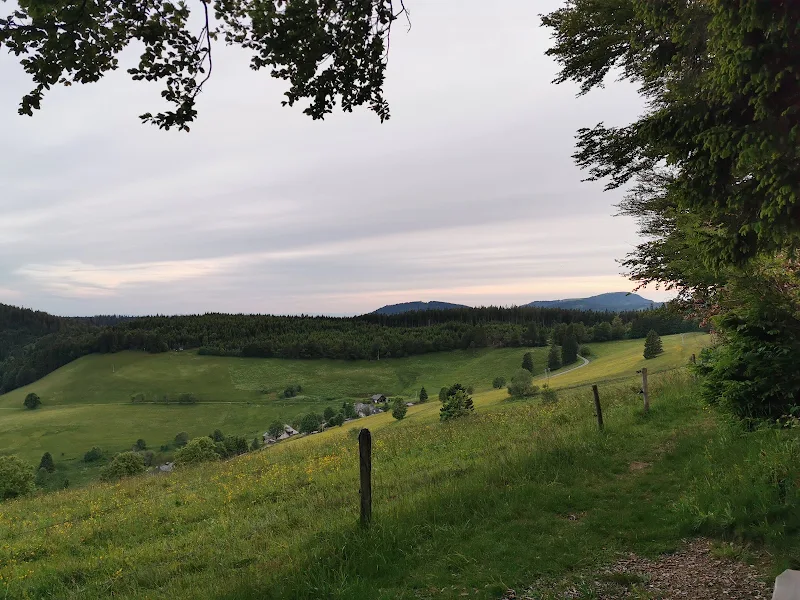 Erlebnis-Rundweg Muggenbrunn photo