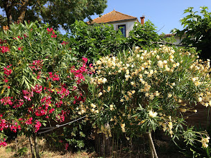 Photo n°18 de Maison Majorelle à Moussoulens (Gîte)