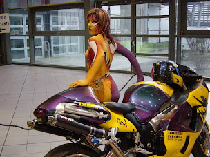 Photo n°8 de Carrosserie Parchina William à Domène (Garage automobile)