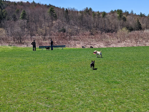 Dog River Field