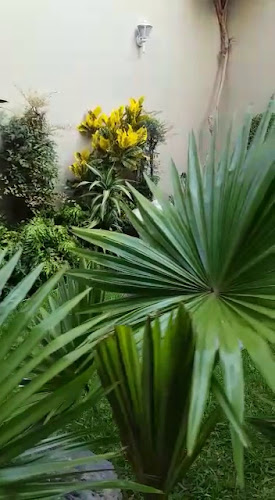 Rezensionen über Joseph Menu SA in Carouge - Gartenbauer