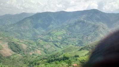 Photos of El Mono de la Hawai