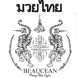 Photo n°2 de Beaucéan Muay-Thaï Gym à Lescar (Club de sport)