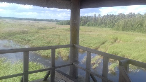 Birdwatching Tower of Riekstusala