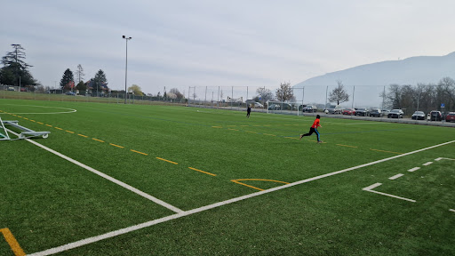 Stade Alfred-Comoli