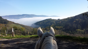 Photo n°10 de CHEVAL D'AZERGUES à Chamelet (Centre équestre)