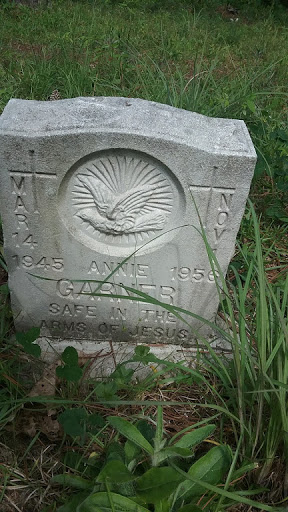 Hodges/Garner Family Cemetery - Thumbnail