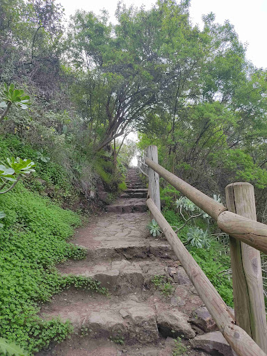 Centro de Interpretación de Los Tilos de Moya - Thumbnail